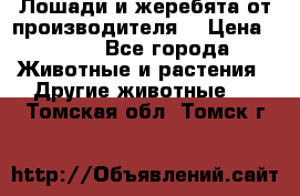 Лошади и жеребята от производителя. › Цена ­ 120 - Все города Животные и растения » Другие животные   . Томская обл.,Томск г.